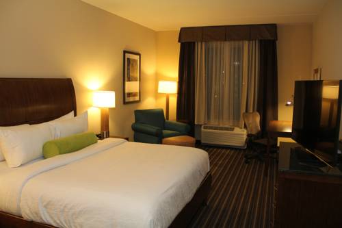 Imagen de la habitación del Hotel Hilton Garden Inn San Antonio/rim Pass Drive. Foto 2