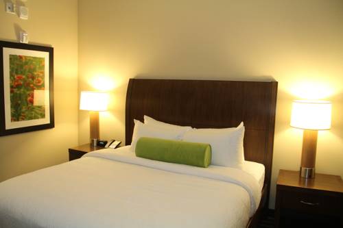 Imagen de la habitación del Hotel Hilton Garden Inn San Antonio/rim Pass Drive. Foto 3