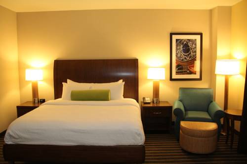 Imagen de la habitación del Hotel Hilton Garden Inn San Antonio/rim Pass Drive. Foto 5