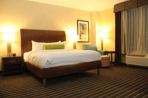 Imagen de la habitación del Hotel Hilton Garden Inn San Antonio/rim Pass Drive. Foto 6