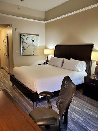 Imagen de la habitación del Hotel Hilton Garden Inn San Bernardino. Foto 4