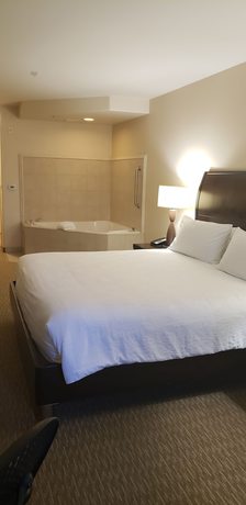 Imagen de la habitación del Hotel Hilton Garden Inn San Bernardino. Foto 16