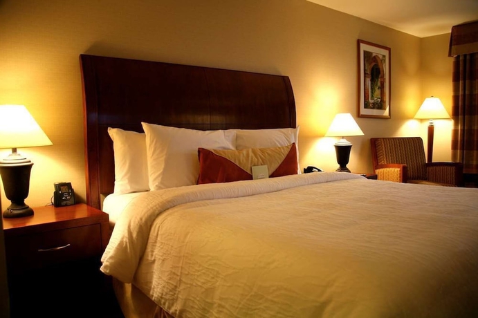 Imagen de la habitación del Hotel Hilton Garden Inn San Diego Del Mar. Foto 11