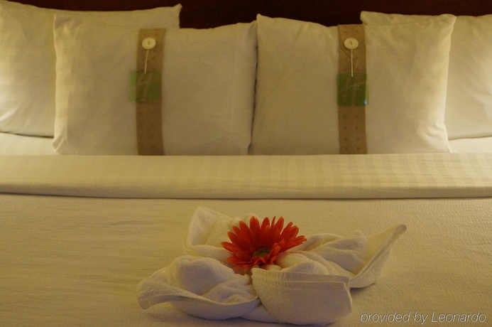 Imagen de la habitación del Hotel Hilton Garden Inn San Diego Mission Valley Stadium. Foto 9