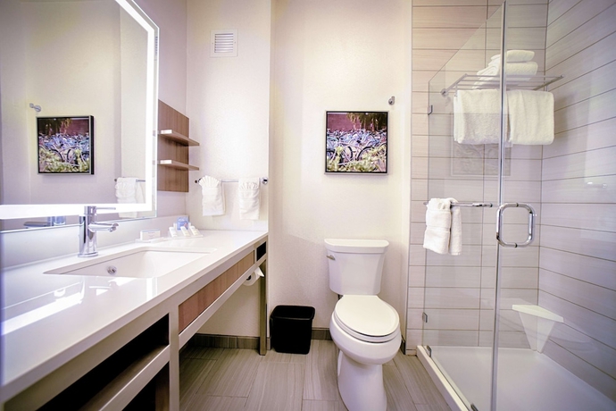 Imagen de la habitación del Hotel Hilton Garden Inn Santa Barbara/goleta. Foto 12