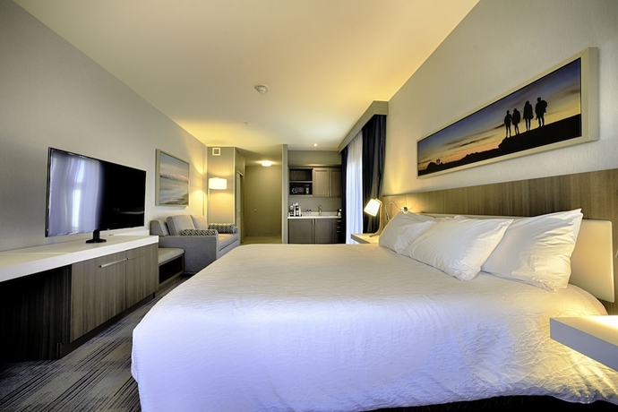 Imagen de la habitación del Hotel Hilton Garden Inn Santa Barbara/goleta. Foto 14