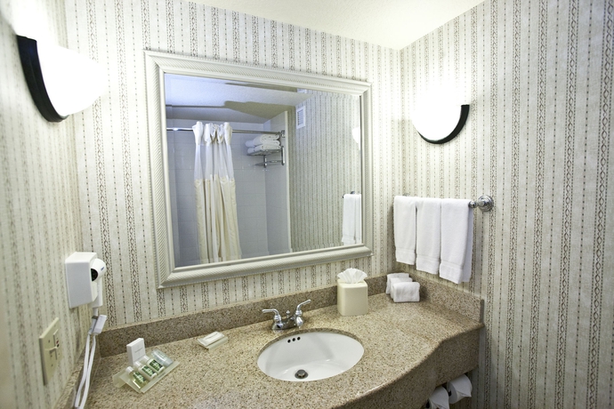 Imagen de la habitación del Hotel Hilton Garden Inn Sarasota - Bradenton Airport. Foto 6