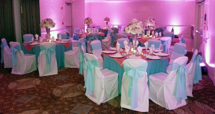 Imagen de los interiores del Hotel Hilton Garden Inn Sarasota - Bradenton Airport. Foto 11