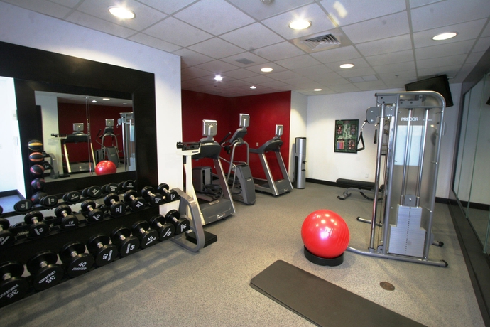 Imagen de los interiores del Hotel Hilton Garden Inn Sarasota - Bradenton Airport. Foto 12