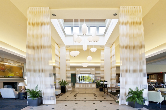 Imagen de los interiores del Hotel Hilton Garden Inn Sarasota - Bradenton Airport. Foto 13