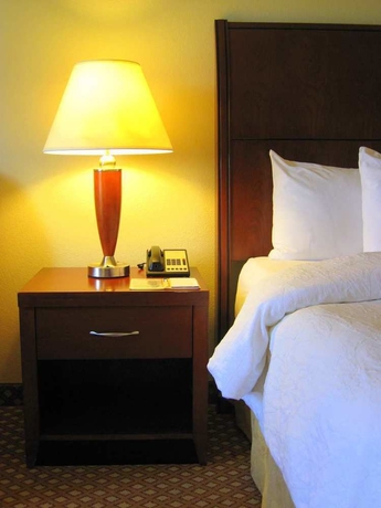 Imagen de la habitación del Hotel Hilton Garden Inn Savannah Midtown. Foto 5
