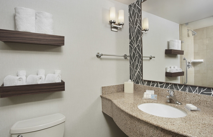 Imagen de la habitación del Hotel Hilton Garden Inn Schaumburg. Foto 4