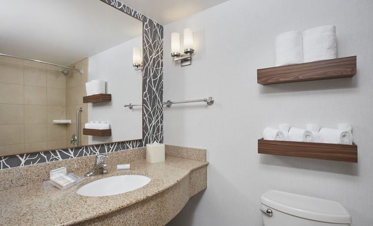 Imagen de la habitación del Hotel Hilton Garden Inn Schaumburg. Foto 7