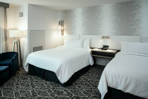 Imagen de la habitación del Hotel Hilton Garden Inn Seattle Bellevue Downtown, Wa. Foto 4