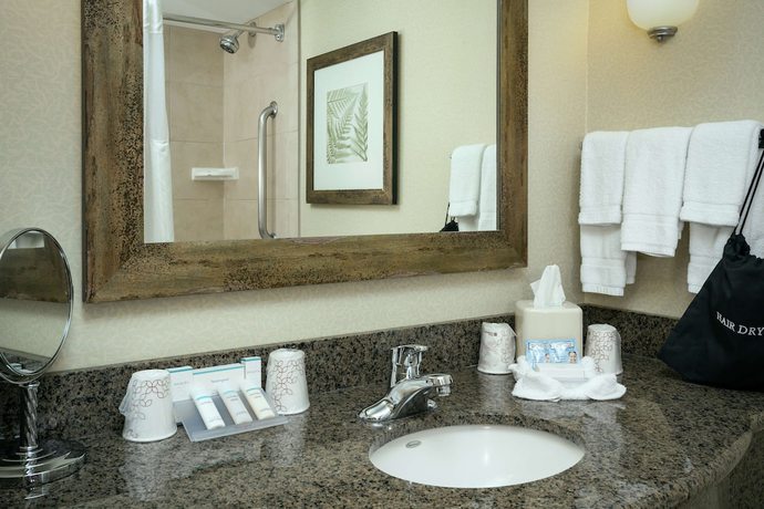 Imagen de la habitación del Hotel Hilton Garden Inn Seattle Issaquah. Foto 9