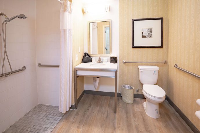 Imagen de la habitación del Hotel Hilton Garden Inn Seattle/renton. Foto 6