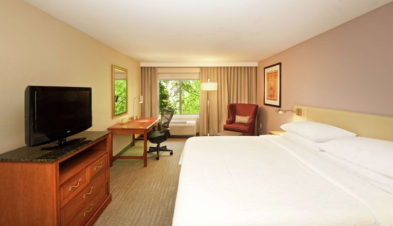 Imagen de la habitación del Hotel Hilton Garden Inn Seattle/renton. Foto 8