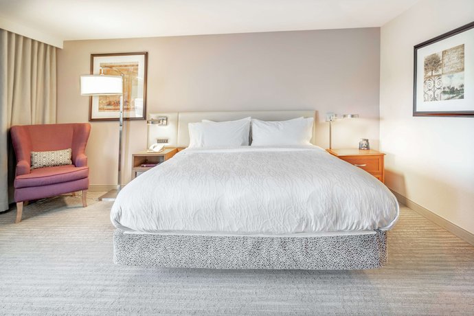 Imagen de la habitación del Hotel Hilton Garden Inn Seattle/renton. Foto 12