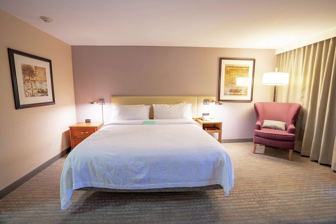 Imagen de la habitación del Hotel Hilton Garden Inn Seattle/renton. Foto 13