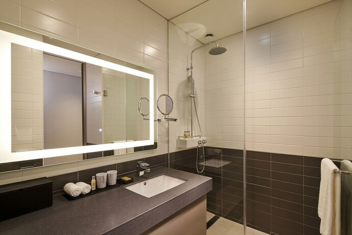 Imagen de la habitación del Hotel Hilton Garden Inn Seoul Gangnam. Foto 26