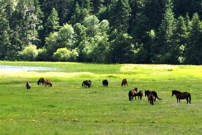 Imagen de los exteriores del Hotel Hilton Garden Inn Shangri-la. Foto 19
