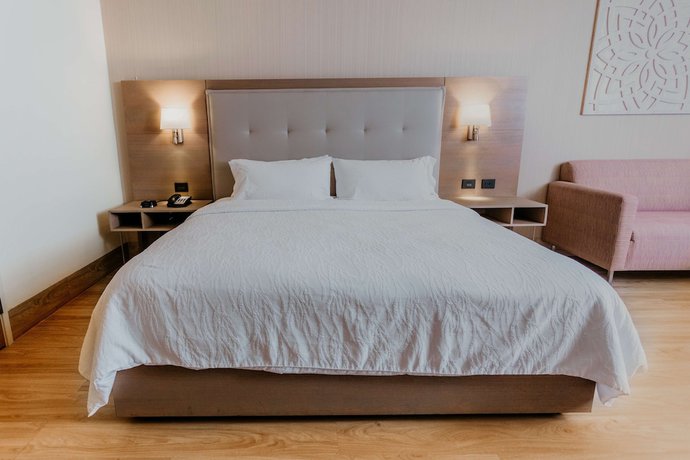 Imagen de la habitación del Hotel Hilton Garden Inn Silao Aeropuerto Bajio. Foto 4