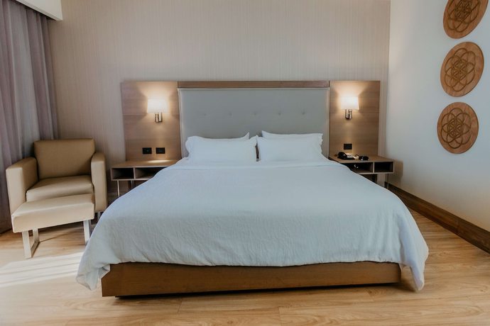 Imagen de la habitación del Hotel Hilton Garden Inn Silao Aeropuerto Bajio. Foto 9