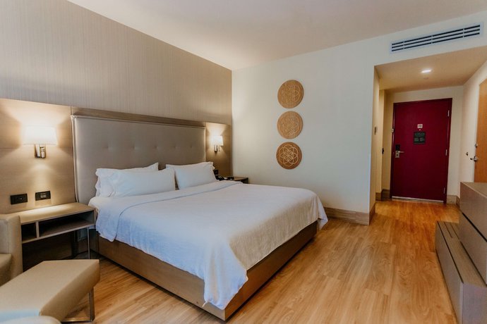 Imagen de la habitación del Hotel Hilton Garden Inn Silao Aeropuerto Bajio. Foto 10