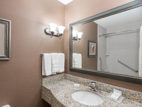 Imagen de la habitación del Hotel Hilton Garden Inn Sioux City Riverfront. Foto 4