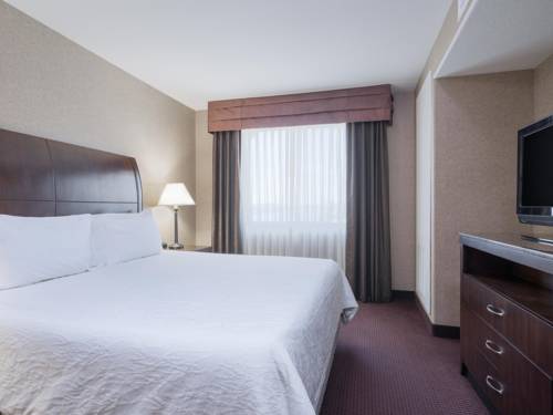 Imagen de la habitación del Hotel Hilton Garden Inn Sioux City Riverfront. Foto 6