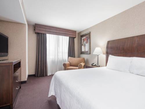 Imagen de la habitación del Hotel Hilton Garden Inn Sioux City Riverfront. Foto 8