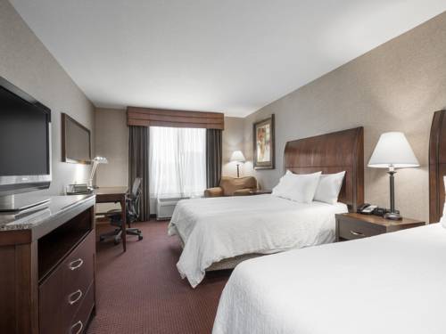 Imagen de la habitación del Hotel Hilton Garden Inn Sioux City Riverfront. Foto 9