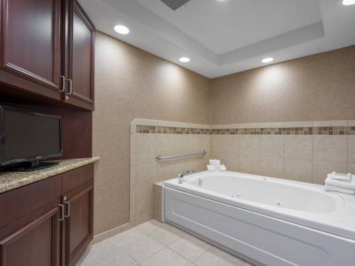 Imagen de la habitación del Hotel Hilton Garden Inn Sioux City Riverfront. Foto 10