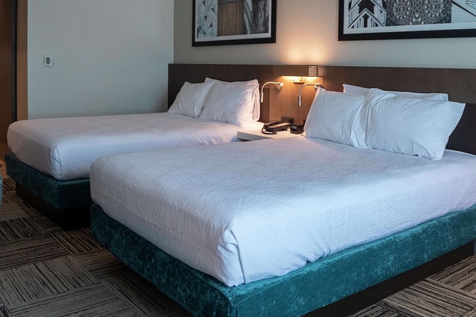 Imagen de la habitación del Hotel Hilton Garden Inn Spartanburg. Foto 6