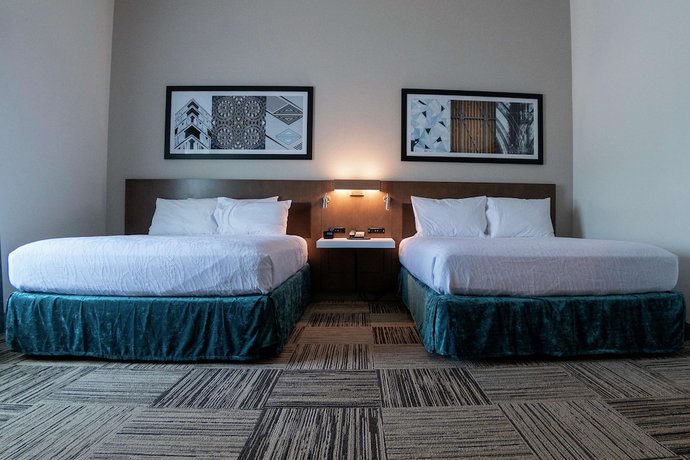 Imagen de la habitación del Hotel Hilton Garden Inn Spartanburg. Foto 9