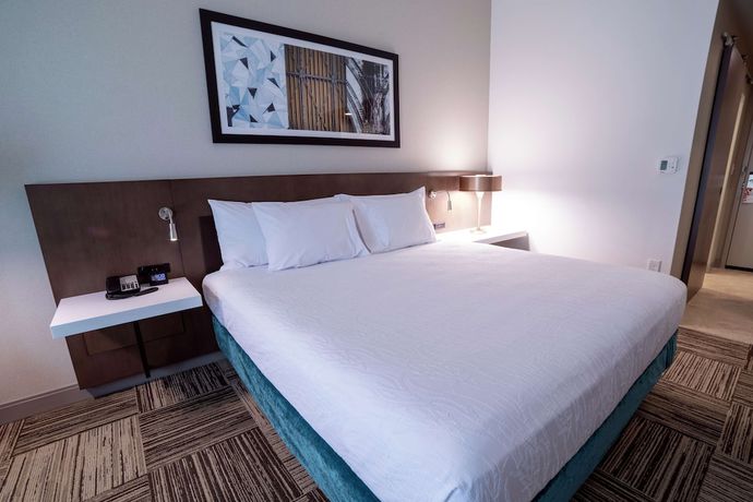 Imagen de la habitación del Hotel Hilton Garden Inn Spartanburg. Foto 10