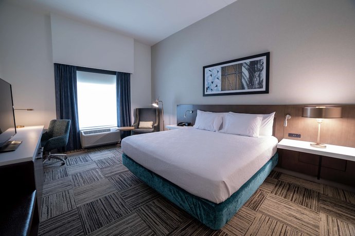 Imagen de la habitación del Hotel Hilton Garden Inn Spartanburg. Foto 11