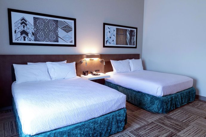 Imagen de la habitación del Hotel Hilton Garden Inn Spartanburg. Foto 12