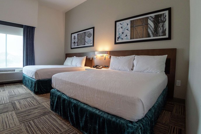 Imagen de la habitación del Hotel Hilton Garden Inn Spartanburg. Foto 14