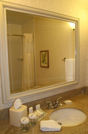 Imagen de la habitación del Hotel Hilton Garden Inn Spokane Airport. Foto 11