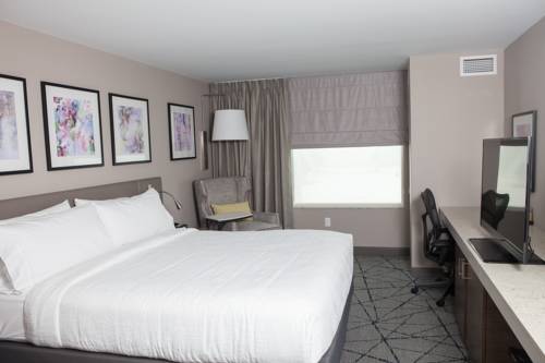 Imagen de la habitación del Hotel Hilton Garden Inn Springfield. Foto 3