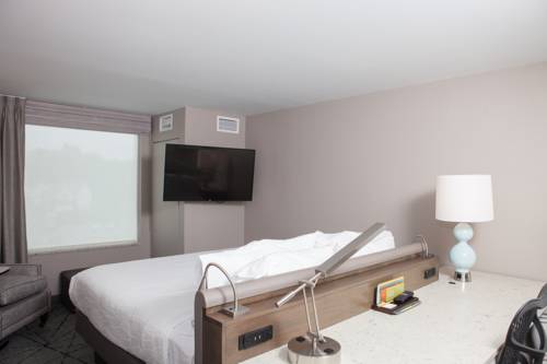 Imagen de la habitación del Hotel Hilton Garden Inn Springfield. Foto 4