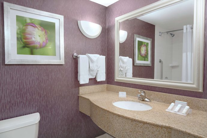 Imagen de la habitación del Hotel Hilton Garden Inn Springfield MA. Foto 8