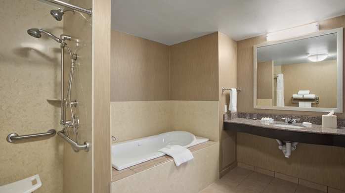Imagen de la habitación del Hotel Hilton Garden Inn Springfield, Springfield. Foto 4