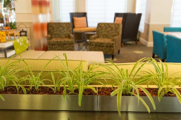 Imagen de los interiores del Hotel Hilton Garden Inn St. Augustine Beach. Foto 14