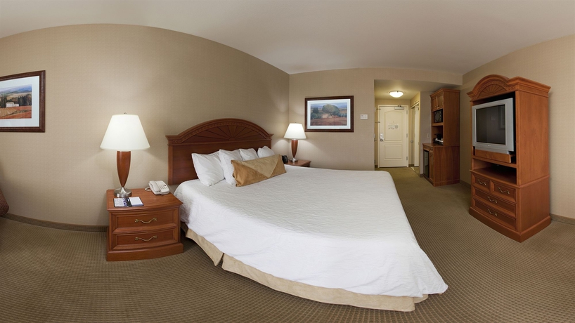 Imagen de la piscina del Hotel Hilton Garden Inn St. George. Foto 14