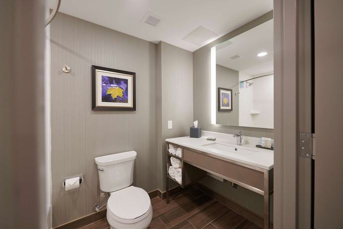 Imagen de la habitación del Hotel Hilton Garden Inn St. John\'s Newfoundland, Canada. Foto 9