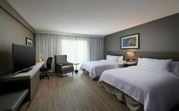 Imagen de la habitación del Hotel Hilton Garden Inn St. John\'s Newfoundland, Canada. Foto 13