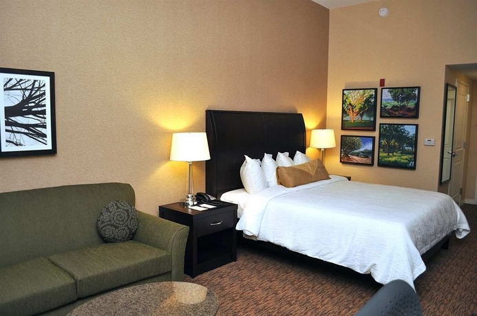 Imagen de los interiores del Hotel Hilton Garden Inn St. Louis Airport. Foto 13