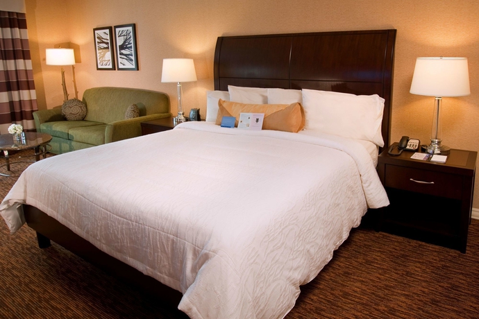 Imagen de la habitación del Hotel Hilton Garden Inn St. Louis Airport. Foto 5
